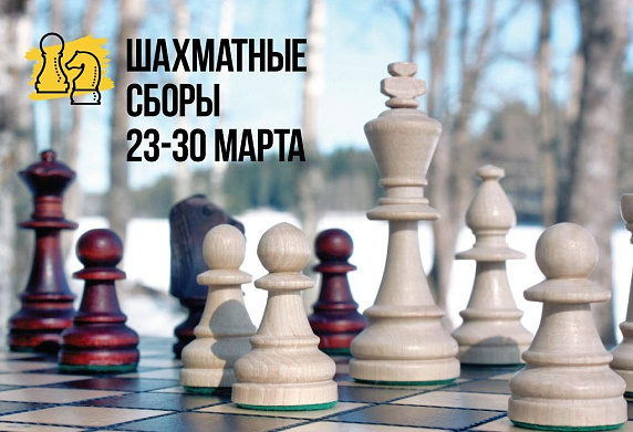 Приглашаем на шахматные сборы 23-30 марта!